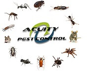 ACUITY PEST CONTROL